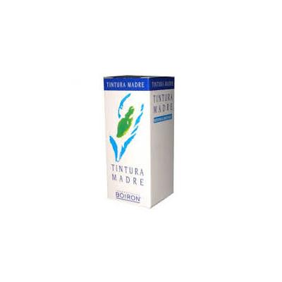 BOIRON ananassa sativa Tintura madre 60 ml